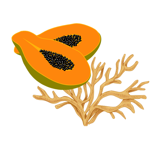 Papaya & Seamoss