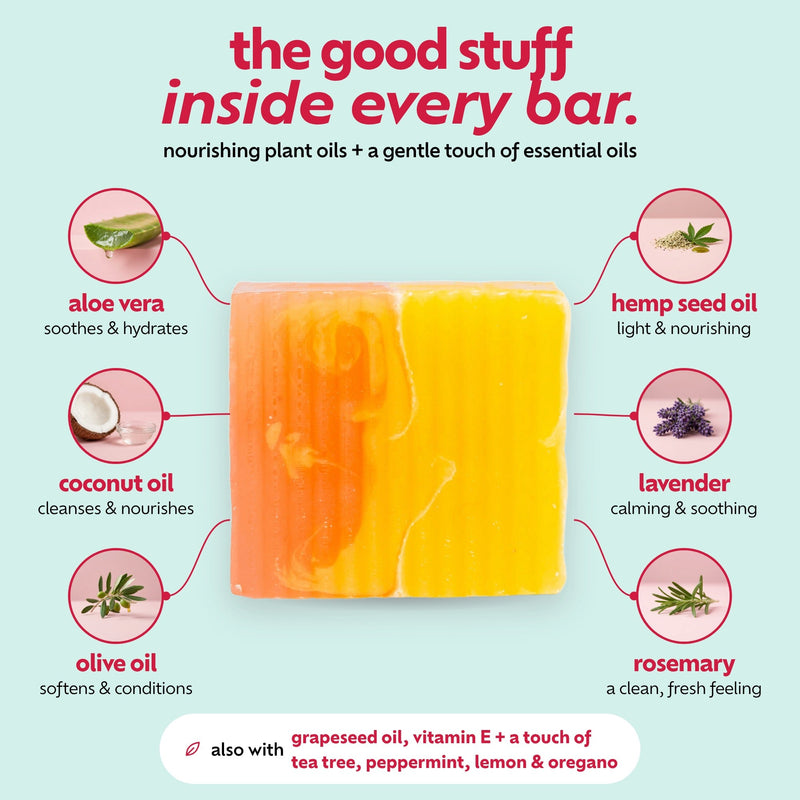 Gentle Pum Pum Bar ingredients infographic